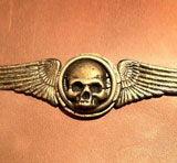 Winged Skull Pin